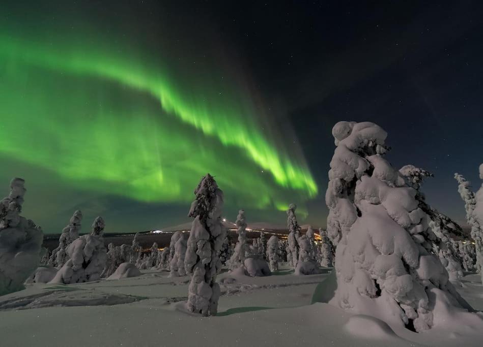 Nordic Lights Loft - Cozy Studio In The Centrum Rovaniemi Exterior foto